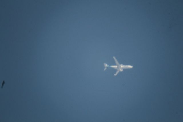 Boeing 737-900 (N248AK) - Over MMTJ 10,000 ft