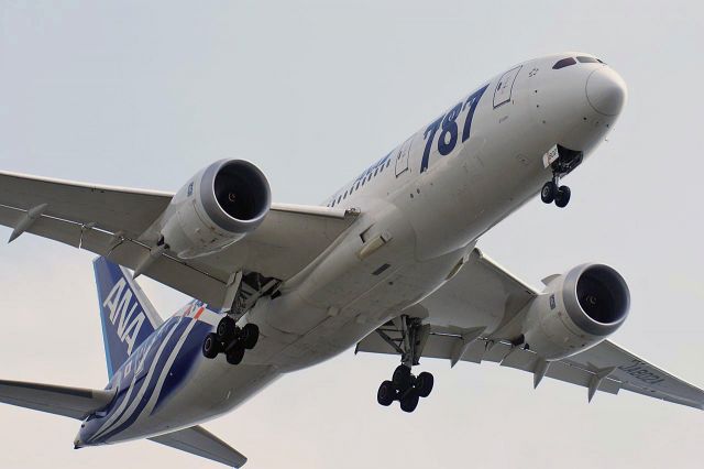 Boeing 787-8 (JA802A)