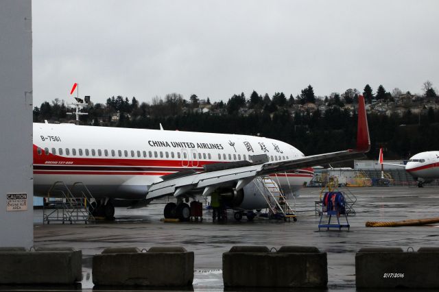 Boeing 737-800 (B-7561)