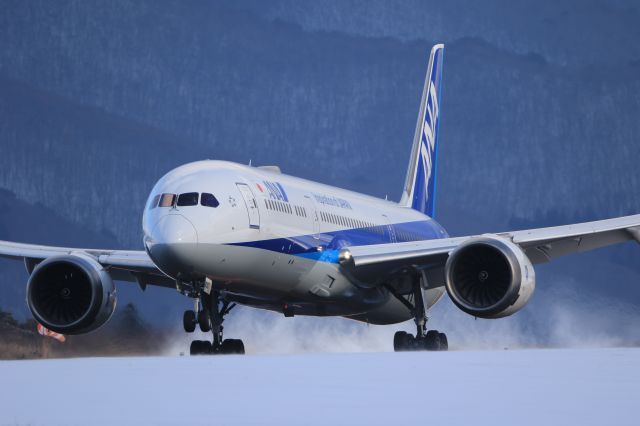 Boeing 787-9 Dreamliner (JA830A) - December 28th 2019:HND-HKD.