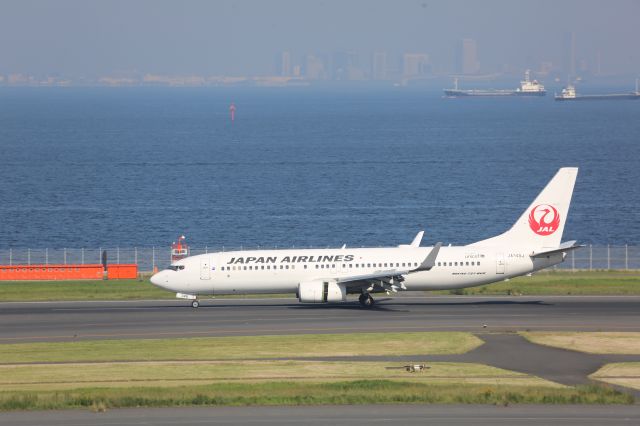 Boeing 737-800 (JA348J)
