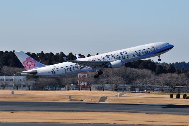 Airbus A330-300 (B-18358) - 2015/1/11