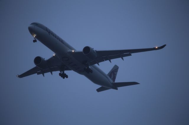 Airbus A350-1000 (A7-ANI)