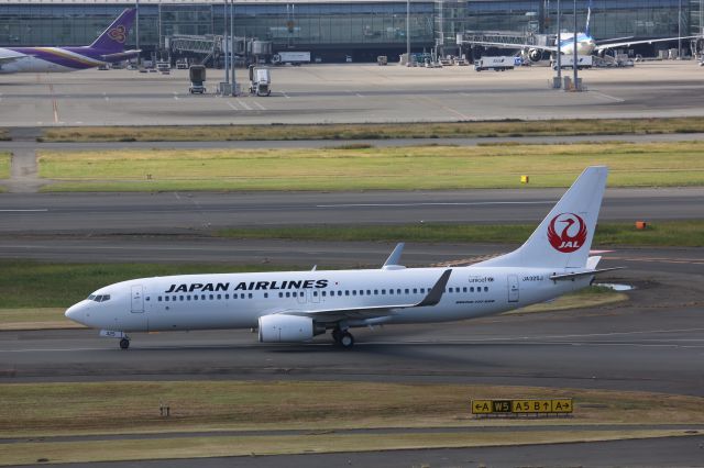 Boeing 737-800 (JA325J)