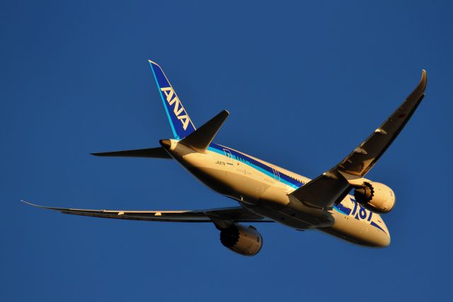 Boeing 787-8 (JA817A)