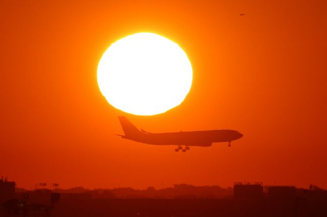 Airbus A330-300 (N384HA)