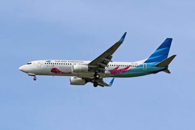 Boeing 737-800 (PK-GNR) - "Passion Jewelry" livery