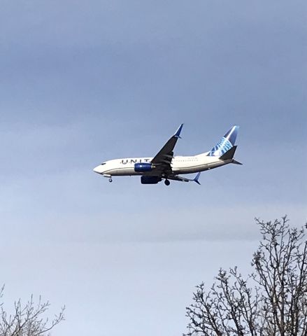 Boeing 737-700 (N24706) - United new livery 737-700! Runway 28C arrival! 12/29/21.