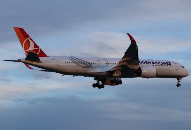 Airbus A350-900 (TC-LGF)