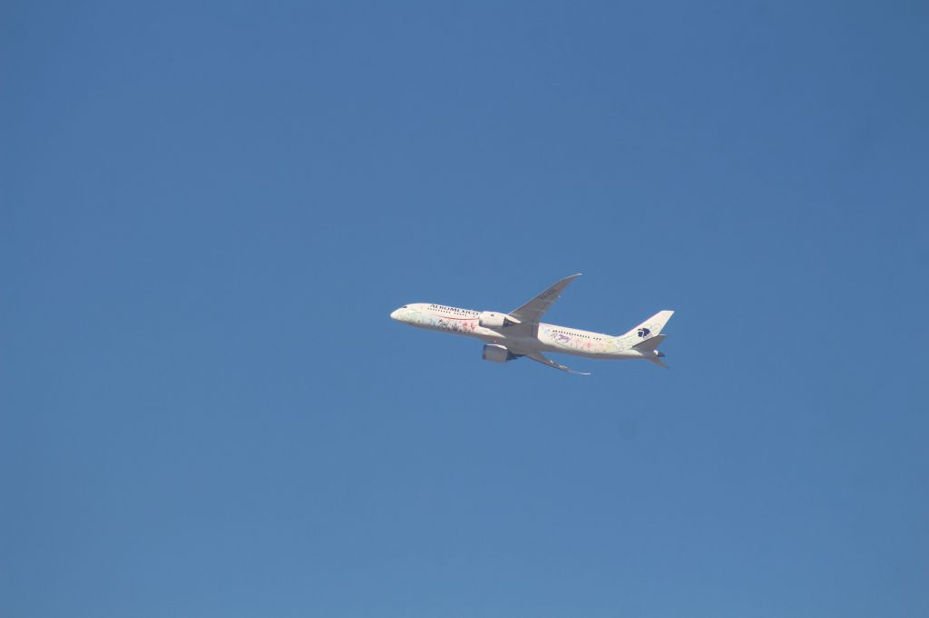 Boeing 787-9 Dreamliner (XA-ADL) - DESPEGUE