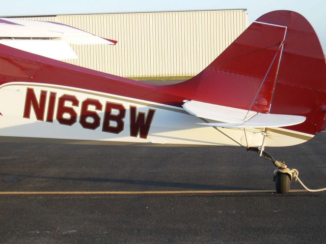 CHRISTEN Husky (N166BW) - Aviat Husky