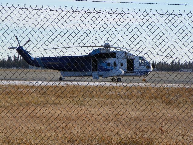 Sikorsky Sea King — - Canadian S-61. Cougar. I think she is overall white with blue striping? What do you think?