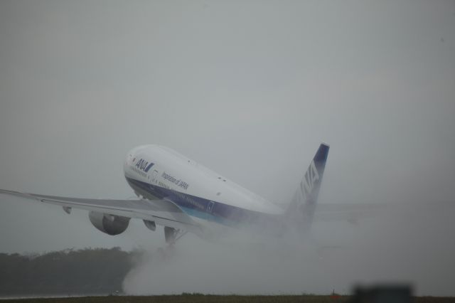 Boeing 777-200 (JA706A) - 27 September 2015: HKD-HND.