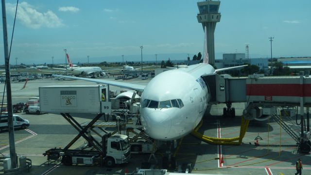 BOEING 777-300ER (TC-LJG) - THY5 to Chicago OHare