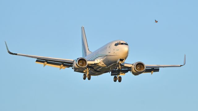 Boeing 737-500 (N732KA) - KaiserAir Boeing 737-500 (N732KA) arrives at KRDU Rwy 23R on 12/04/2019 at 4:31 pm.