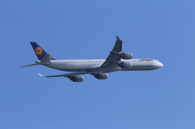 Airbus A340-600 (D-AIHN)
