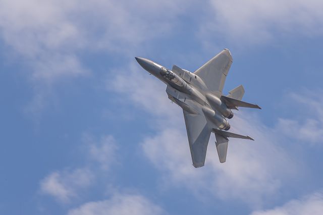 McDonnell Douglas F-15 Eagle (AFR79496)