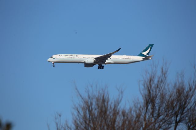 Airbus A350-1000 (B-LXB)