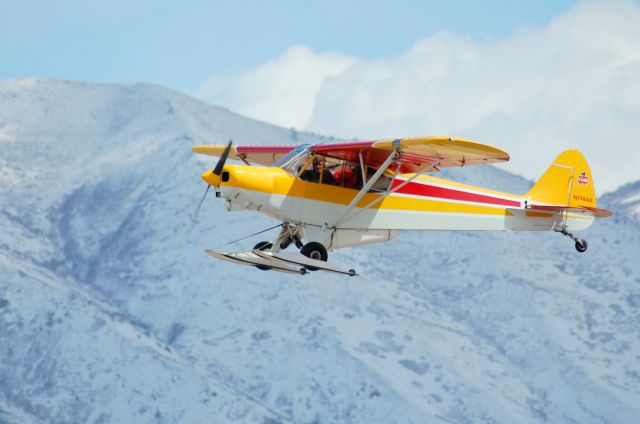 Piper L-21 Super Cub (N1144A)