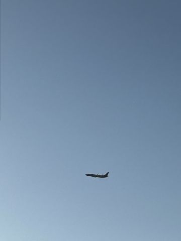 Boeing 737-800 (N823NN) - Go around flightradar24 for information 