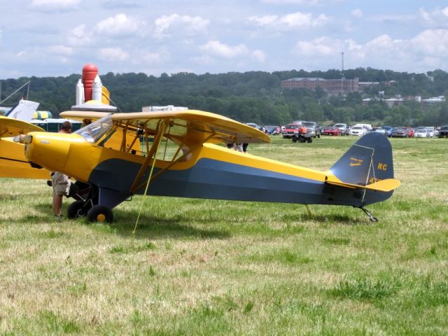 Piper L-18B Cub Special (N4769M)