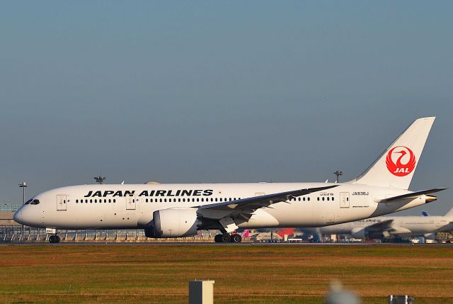 Boeing 787-8 (JA836J) - I took this picture on Dec 01, 2020.br /JL41/01   NRT-LHR
