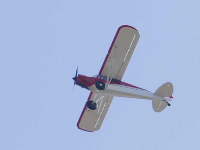 Piper L-21 Super Cub (N311BL) - Flying over my house in 78757