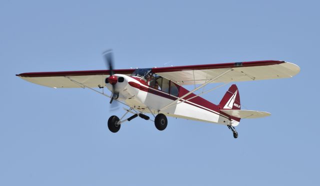 Piper L-21 Super Cub (N900JK) - Airventure 2017