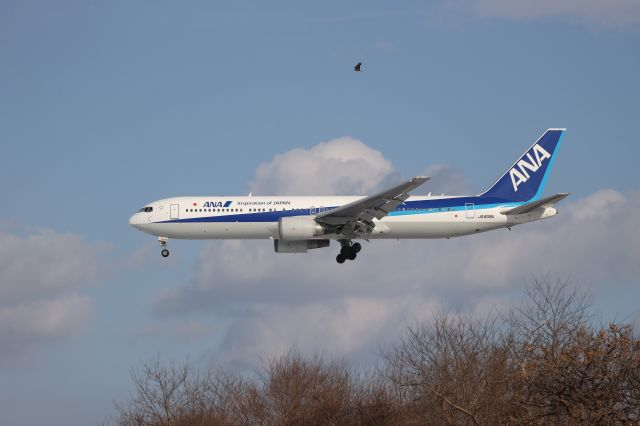 BOEING 767-300 (JA608A) - January 01, 2025:HND-HKD.