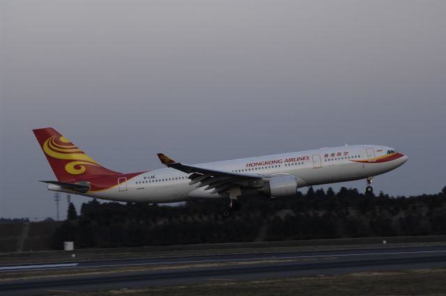 Airbus A330-200 (B-LNE) - Landing at NRT Airport Runway 16L on 2011/12/29