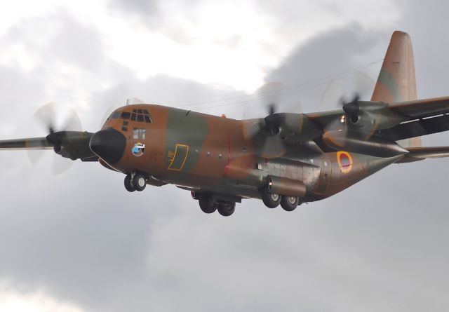 Lockheed C-130 Hercules (TJ-XCD)