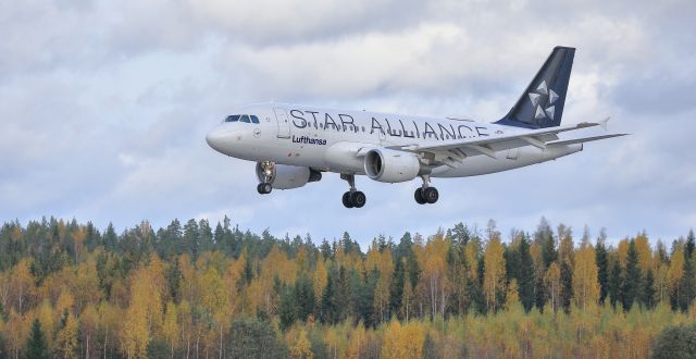 Airbus A319 (D-AIBJ)