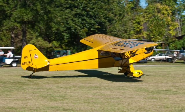 N58376 — - EAA Fly-In Laneys Airport (N92)  10-02-10