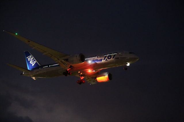 Boeing 787-8 (JA809A) - 24 August 2016:HND-HKD.