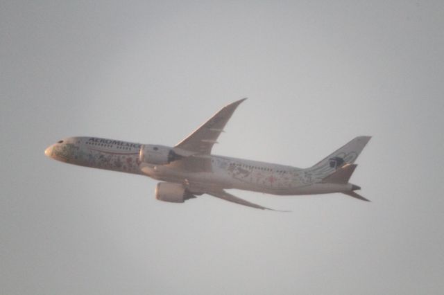 Boeing 787-9 Dreamliner (XA-ADL) - DEPARTURE FROM 27 MMTJ