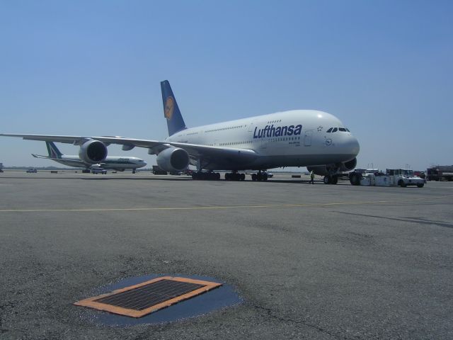 Airbus A380-800 (D-AIMF)