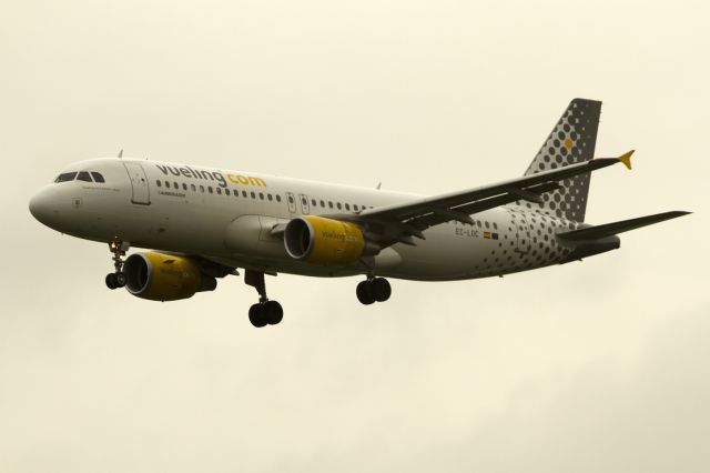 Airbus A320 (EC-LOC)