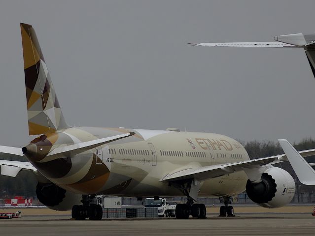 Boeing 787-9 Dreamliner (A6-BLE) - I take a picture on Mar 31, 2017.br /EY878/30 