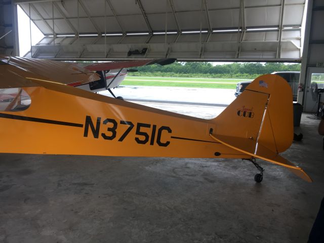 Piper L-21 Super Cub (N3751C)