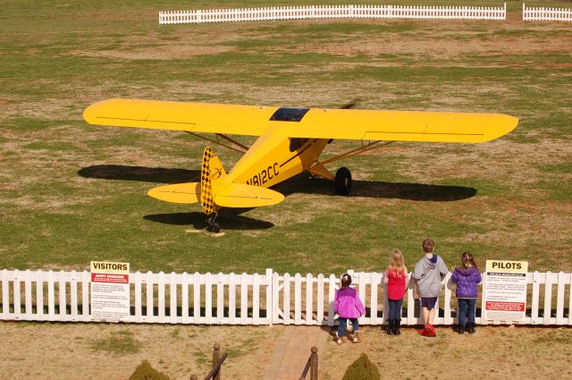 Piper L-21 Super Cub (N812CC) - young cubs new cubs