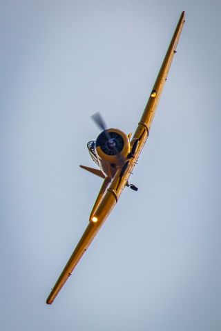 North American T-6 Texan (001)