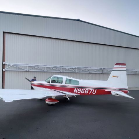 N9687U —