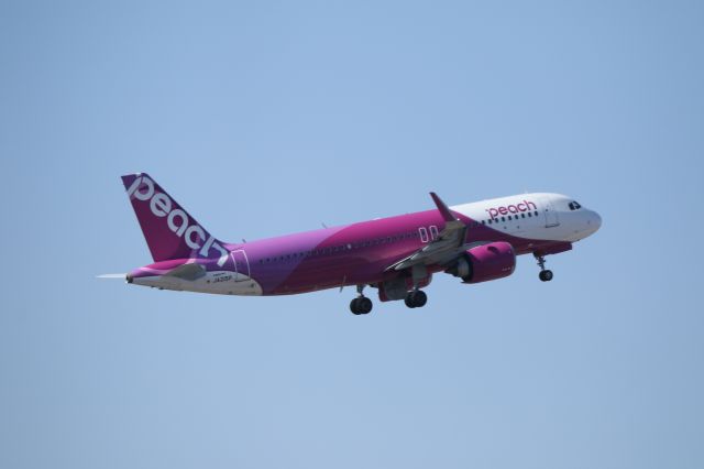 Airbus A320neo (JA215P) - Feb 01,2025br /APJ567 NRT→CTS