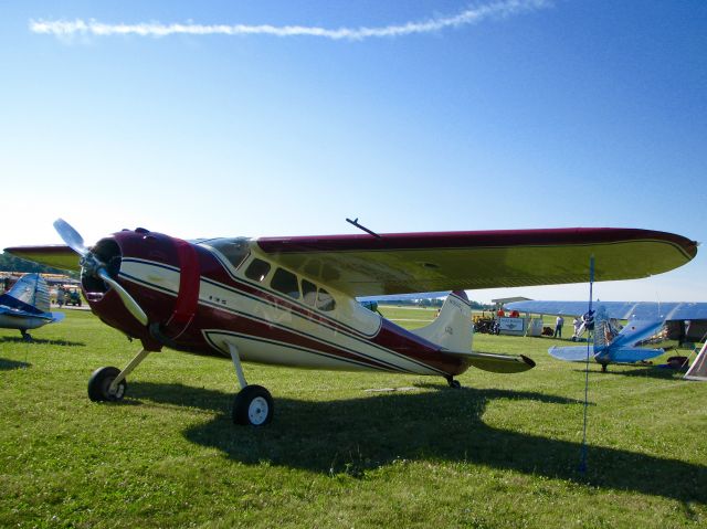 Cessna 190 (N195GE) - At AirVenture 2016.    Cessna 195