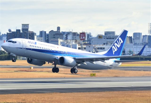 Boeing 737-800 (JA64AN)