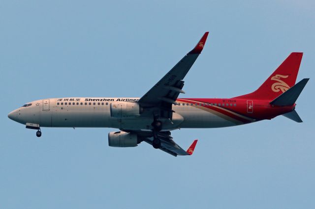 Boeing 737-800 (B-1519)