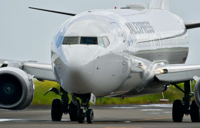 Boeing 737-800 (JA344J)