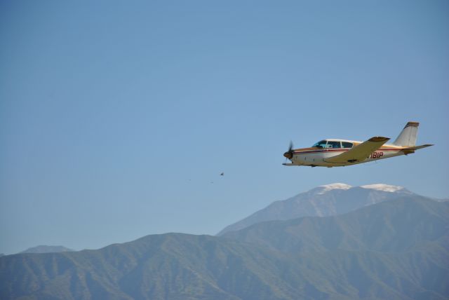 Piper PA-24 Comanche (N7181P)