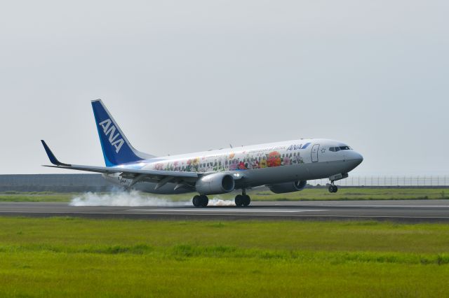 Boeing 737-800 (JA85AN) - 東北フラワージェット(TOHOKU FLOWER JET)