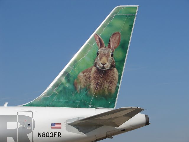 Airbus A318 (N803FR)